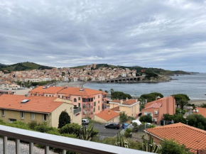 Studio Banyuls-sur-Mer, 1 pièce, 3 personnes - FR-1-225C-104
